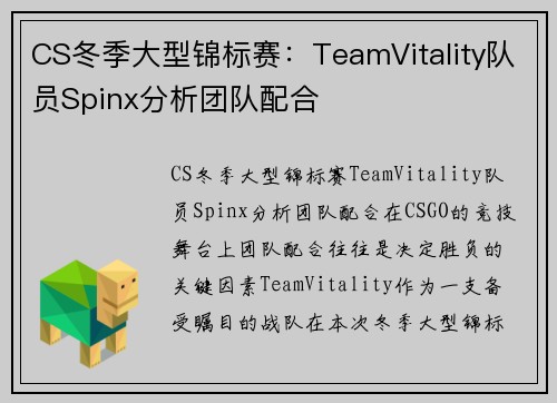 CS冬季大型锦标赛：TeamVitality队员Spinx分析团队配合