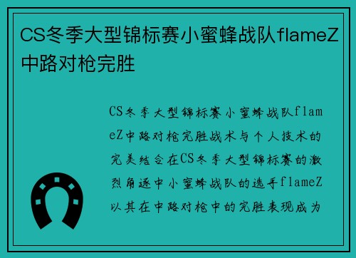 CS冬季大型锦标赛小蜜蜂战队flameZ中路对枪完胜